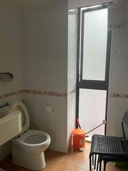 The Tanamera (D16), Condominium #618905771